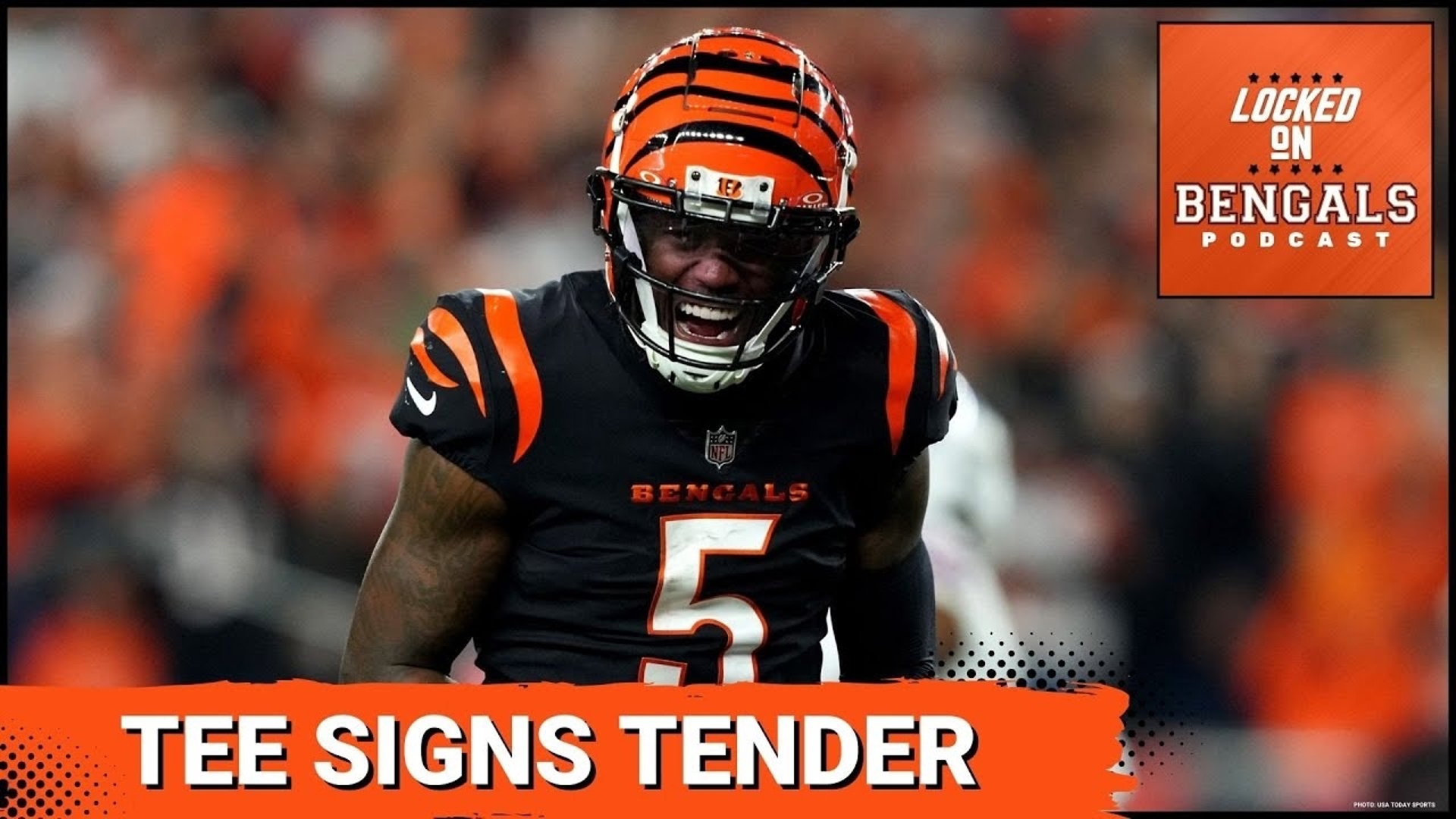 Cincinnati Bengals wide receiver Tee Higgins signed his franchise tender on Saturday.