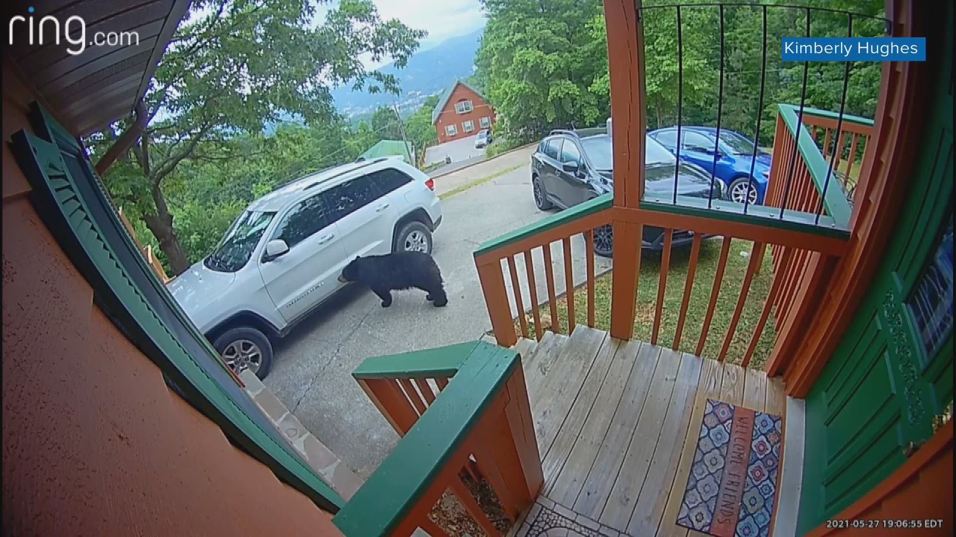 Kimberly Hughes couldn't believe her eyes when she looked at her Ring Doorbell camera from her Gatlinburg cabin.