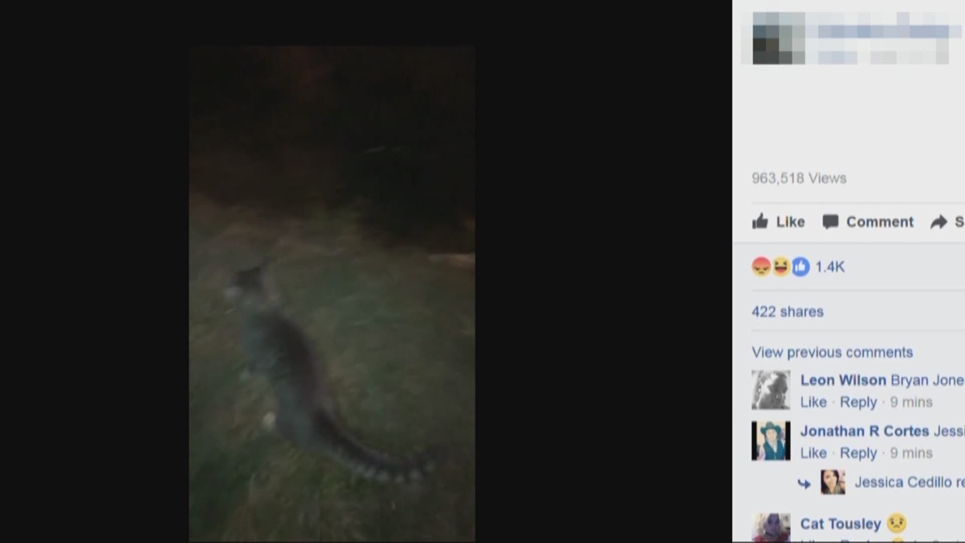 A disturbing video that appears to show a Charlotte man kicking a cat is going viral.**WARNING** The video is graphic.