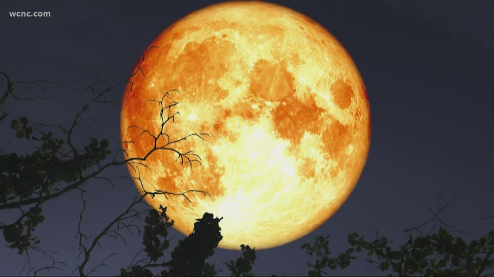 Friday the 13th harvest moon tonight, St. Louis skies clear