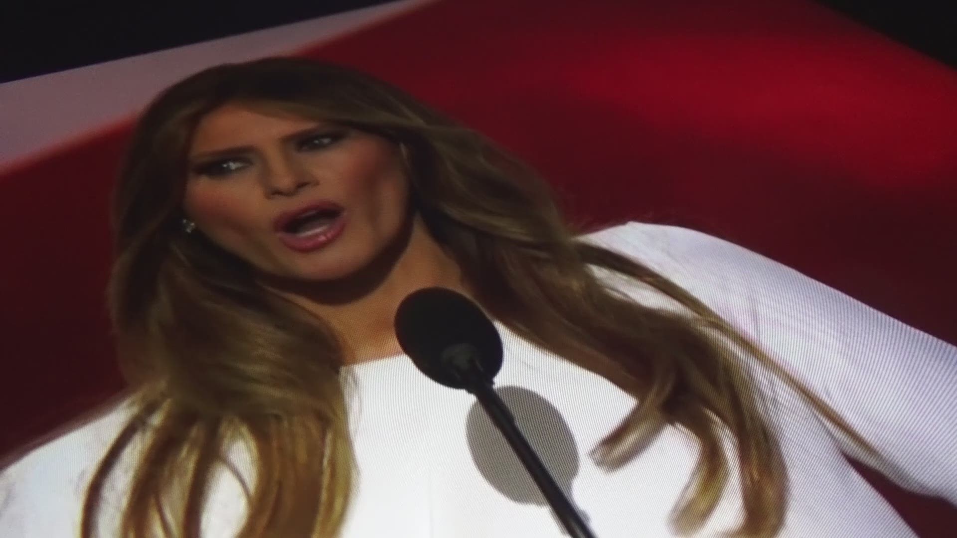 The woman who has taken responsibility for the Melania Trump plagiarism scandal at the Republican National Convention is a registered Democrat, according to an online database.