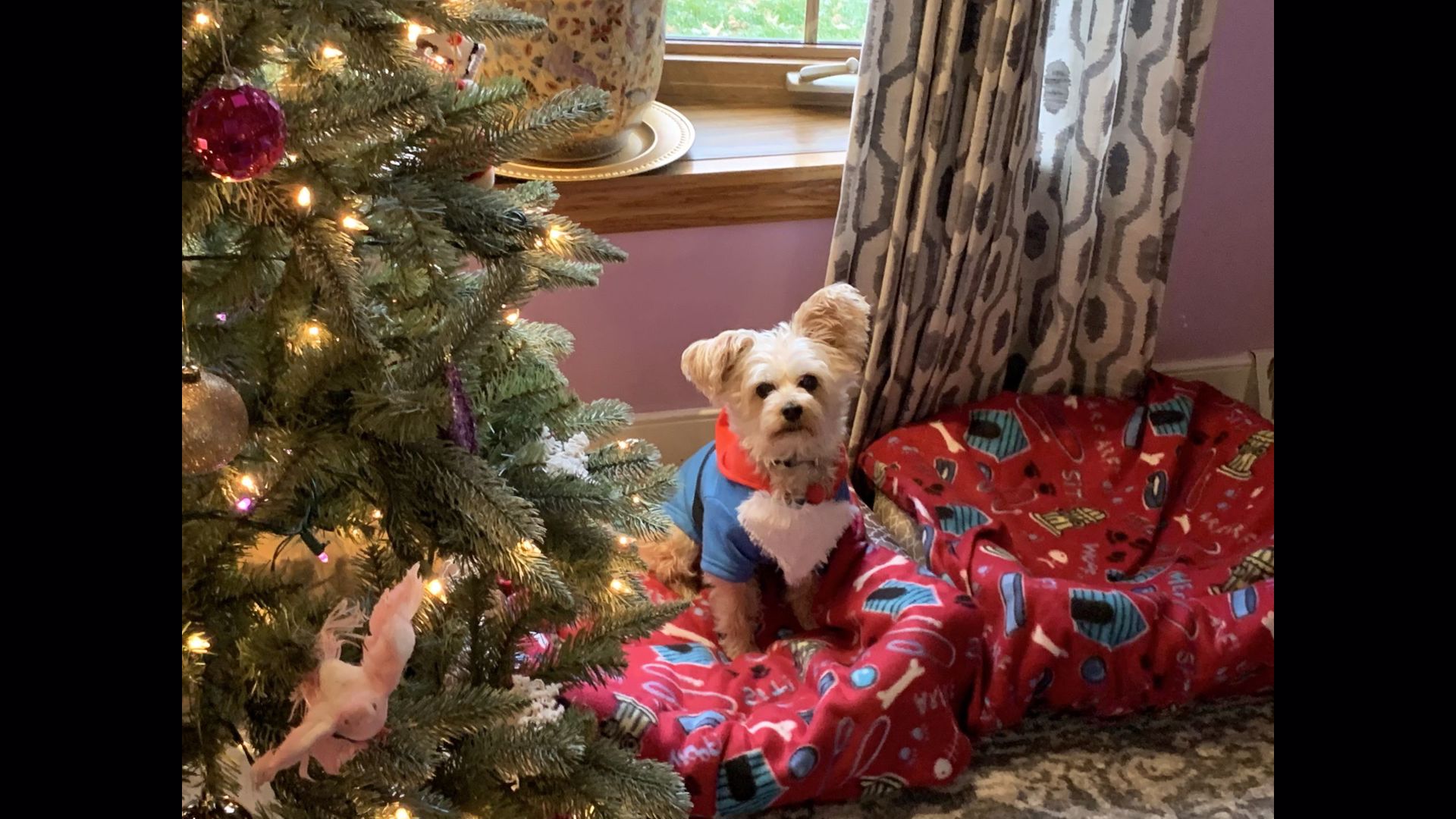 Christmas displays in Northeast Ohio: Show off your decorations | ksdk.com