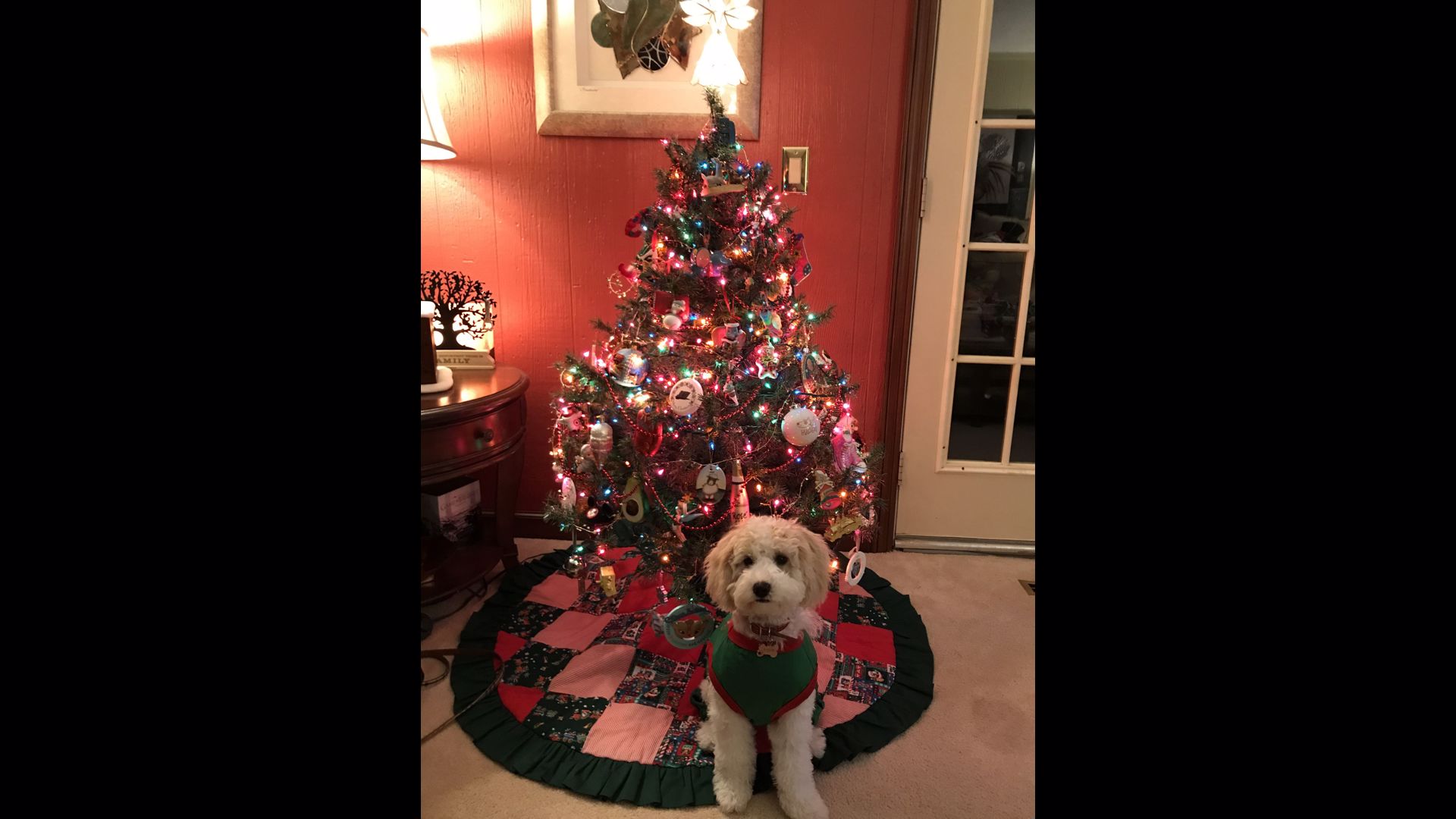 Christmas displays in Northeast Ohio: Show off your decorations | ksdk.com