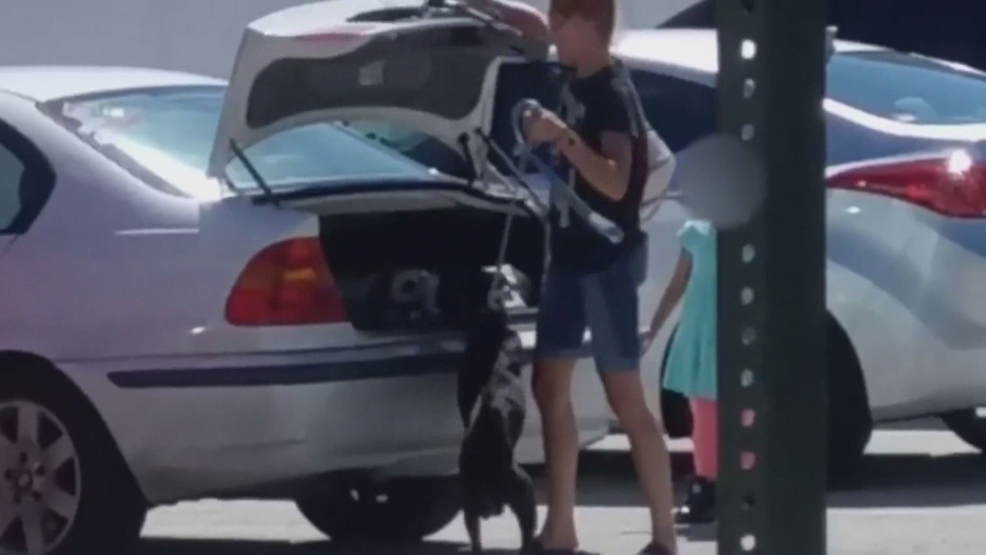 Brevard County woman shoves dog into trunk in video | ksdk.com