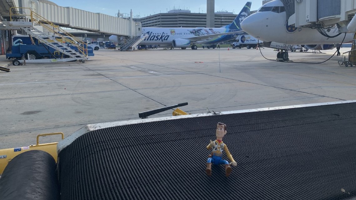 Woody was left at Tampa International Airport and needs a ride out west | www.neverfullmm.com