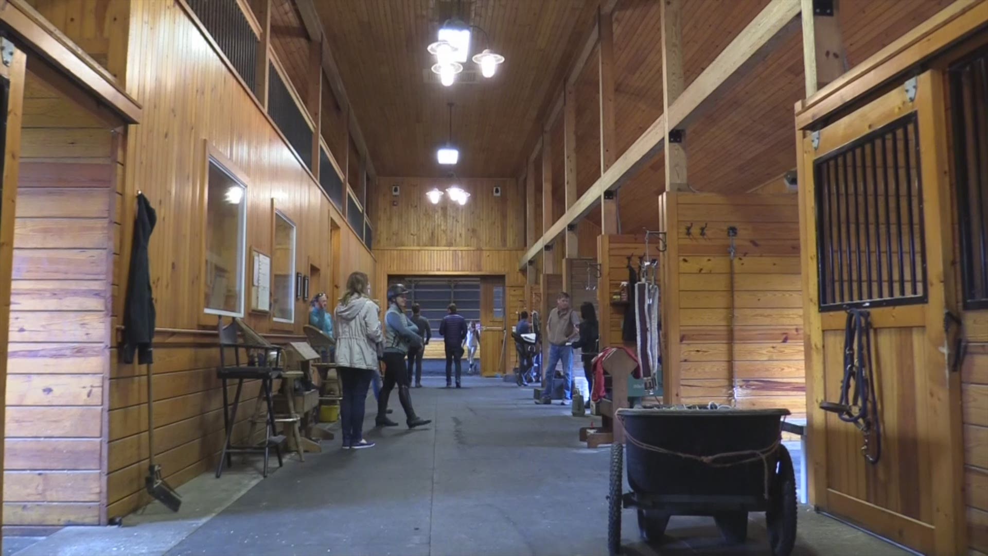 Airbnb for horses? New online platform helps equestrians rent stalls