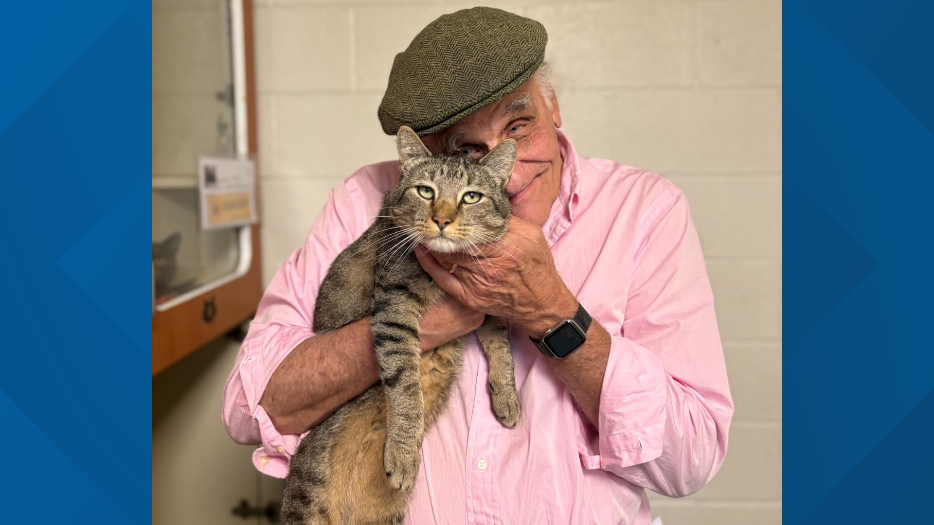 Lost Fairfax County cat reunited with family after being missing for 2 ...