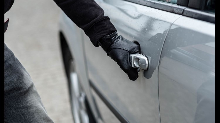 Selfdefense school shows how to protect yourself from a carjacking